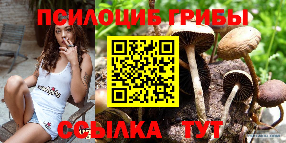 Псилоцибиновые грибы MAGIC MUSHROOMS Асбест