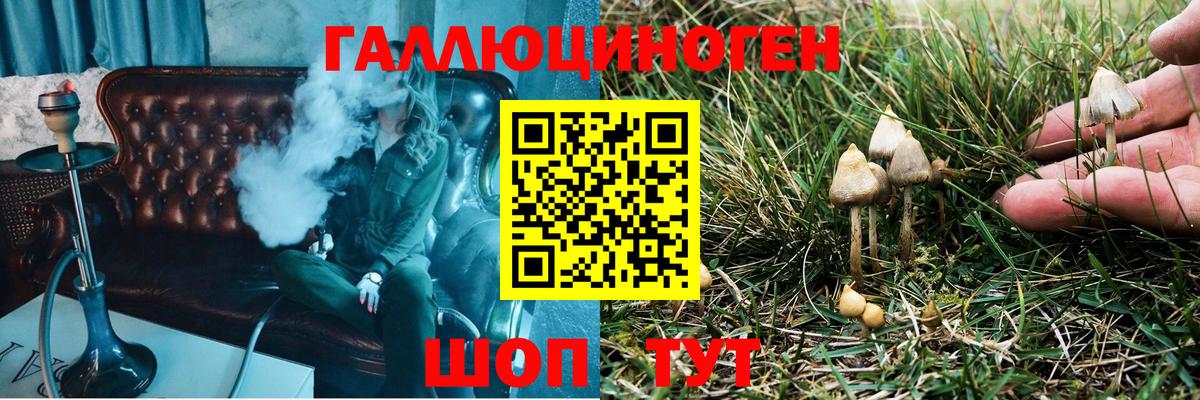 Псилоцибиновые грибы MAGIC MUSHROOMS  Галлюциногенные грибы Psilocybine cubensis  Вход с VPN  Асбест 